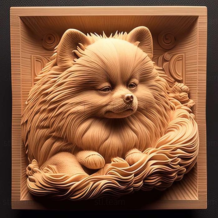 3D model Japanese Pomeranian dog (STL)